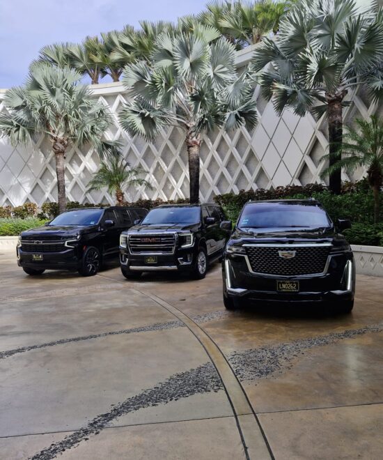 Nassau Black Car Service (12)